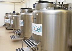 Cryopreservation Tanks