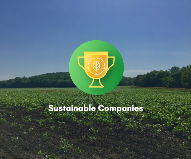Sustainable Company Medal