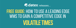 Datex free guide on WMS