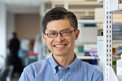 Professor Sui Huang, MD, PhD