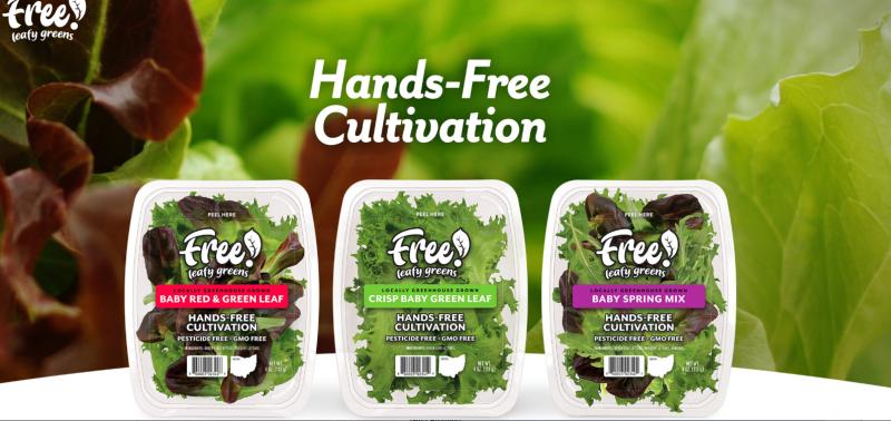 Free! Leafy Greens, Hands-Free Cultivated at Fresh Local Produce of Ohio.