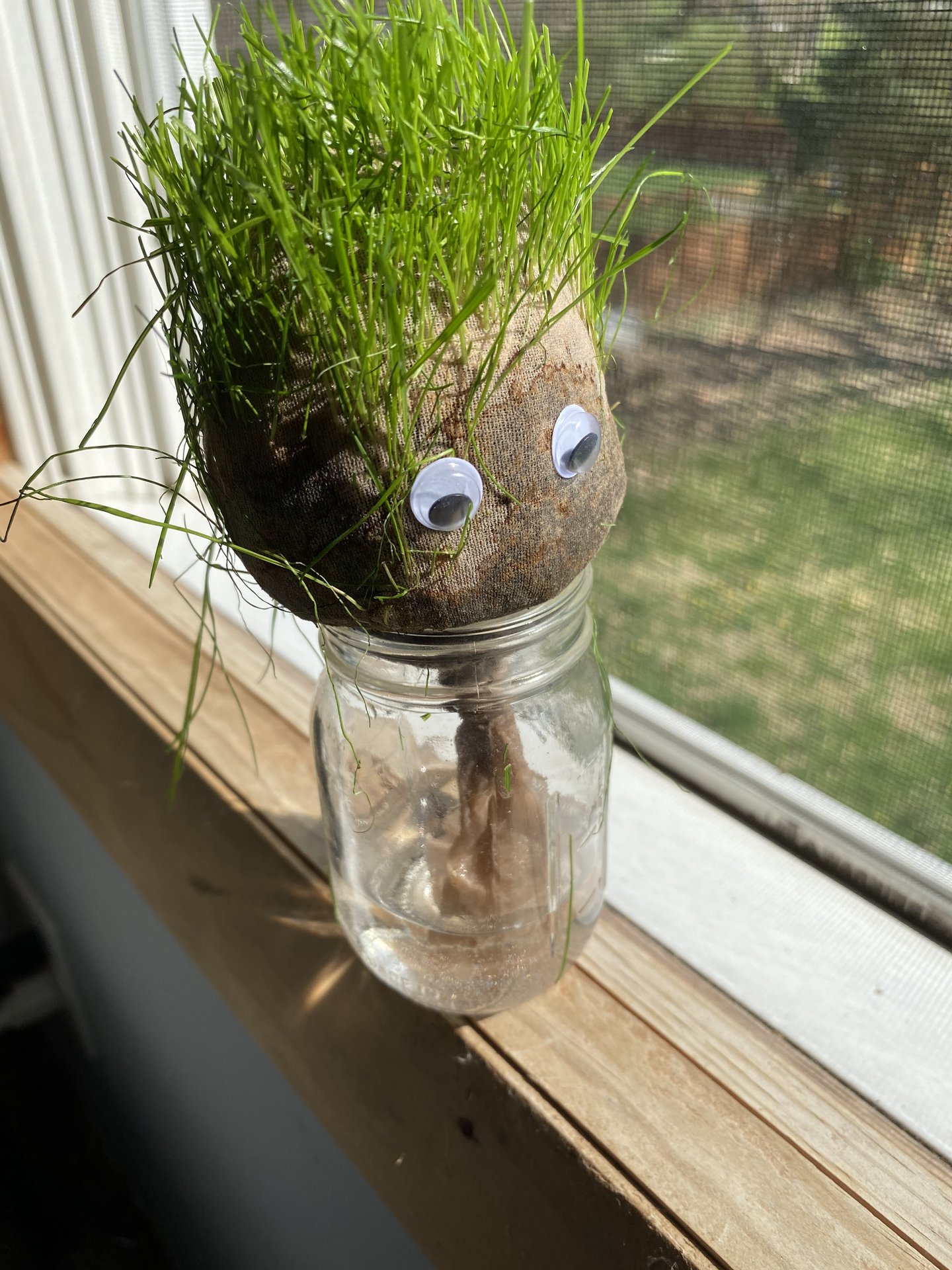 Hair raising Earth Day fun