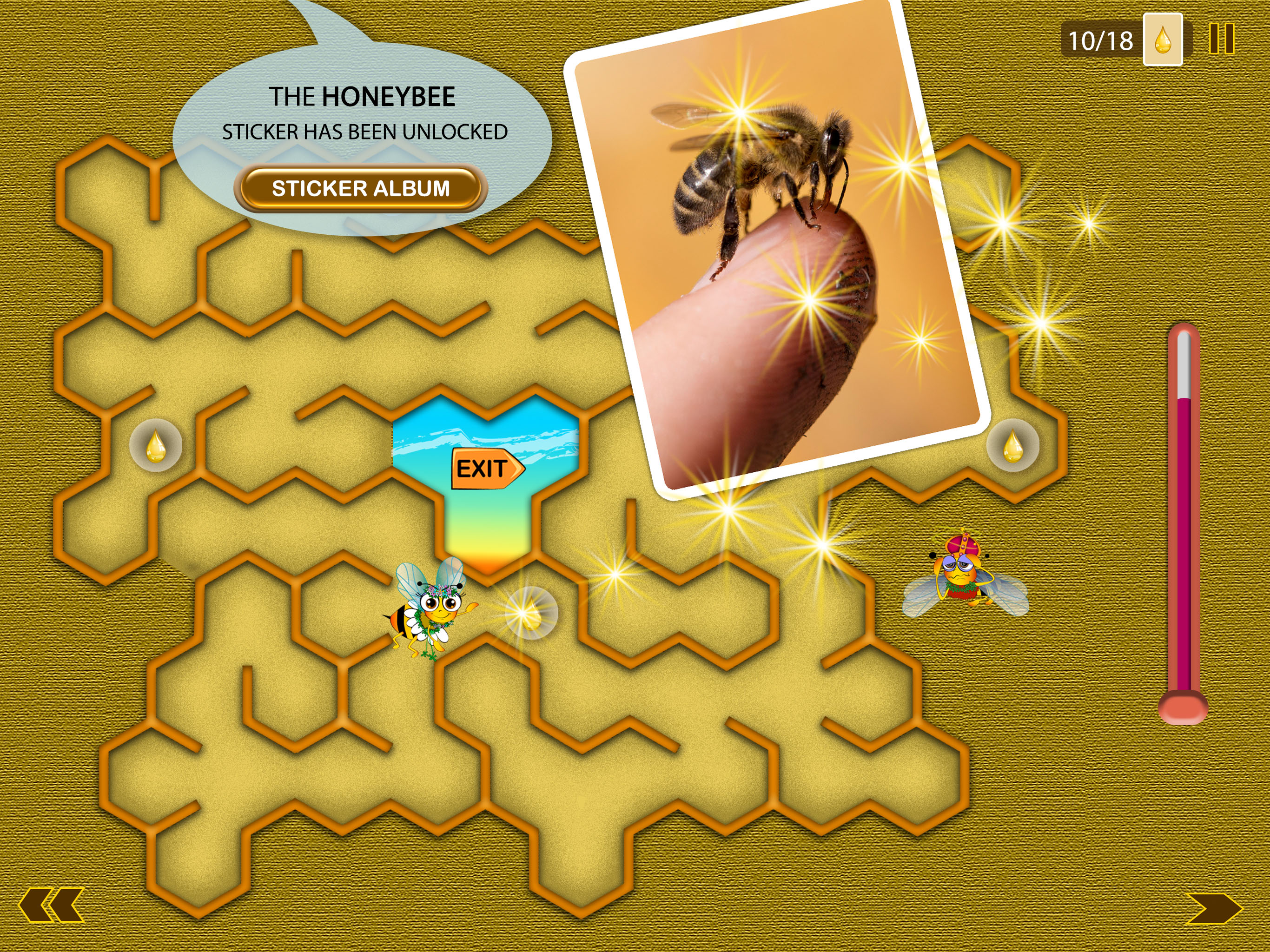 Honey Tina and Bees - Labyrinth game