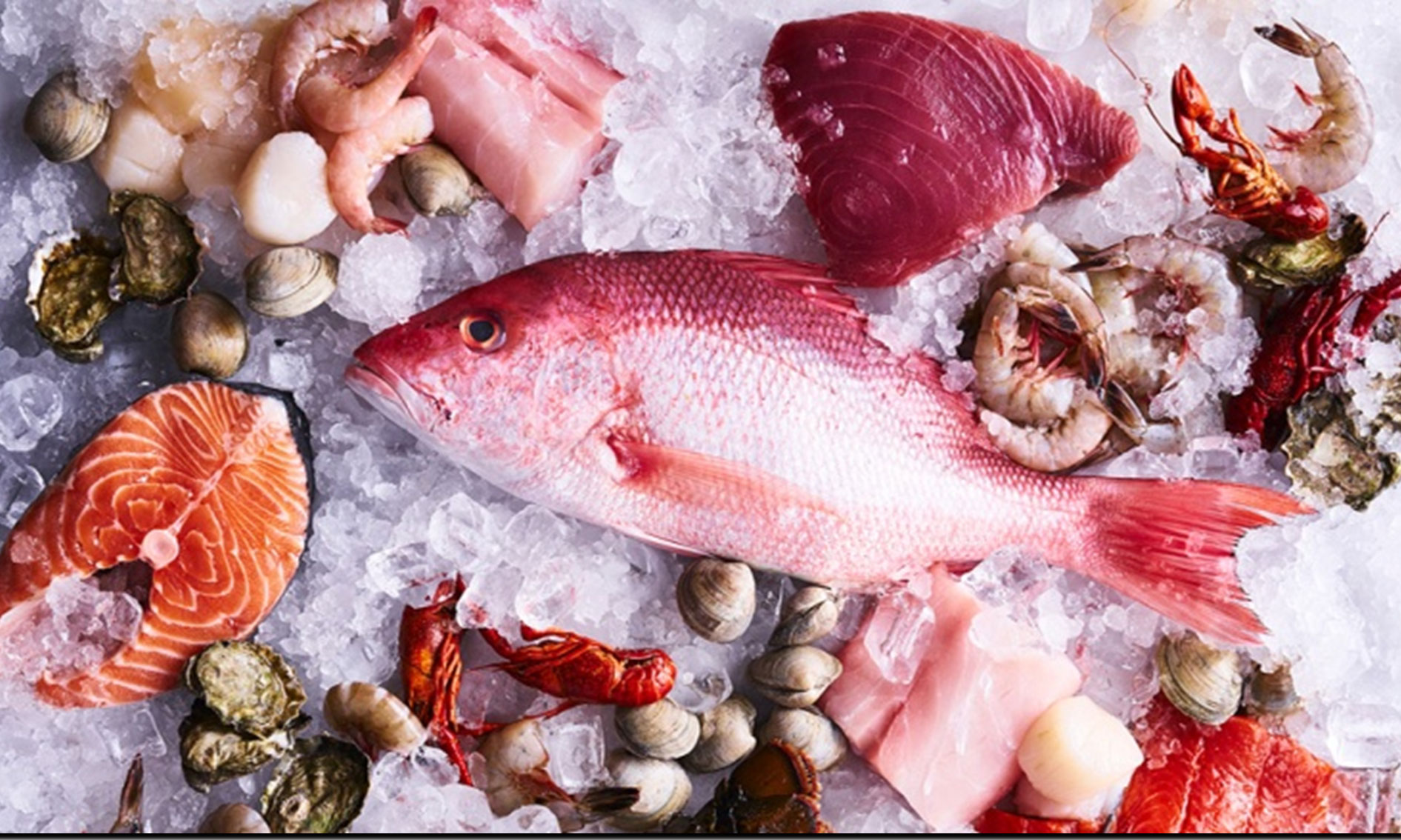 We help the seafood industry balance the needs of their businesses and communities with that of the market and government in order to build sustainable food sources, economies, and ecosystems.