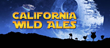 CALIFORNIA WILD ALES ANNOUNCES “MAY THE 4TH BE WITH YOU” banner