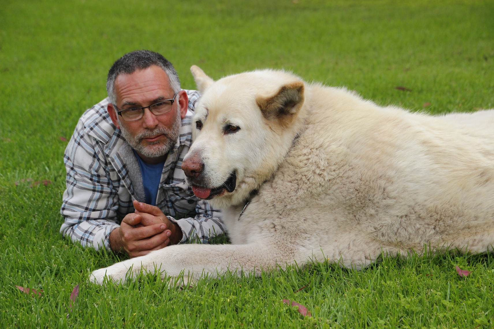 Rafael Stonment MVO Director and Service Dog LEO