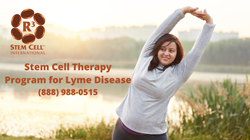 stem cell Lyme disease