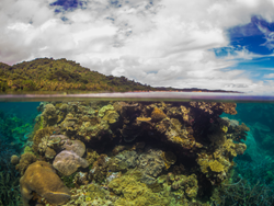 Scuba DIving Undiscovered Biodiversity Healthy Coral Reefs Natewa Bay, Fiji