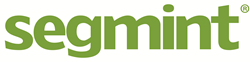 Segmint Logo