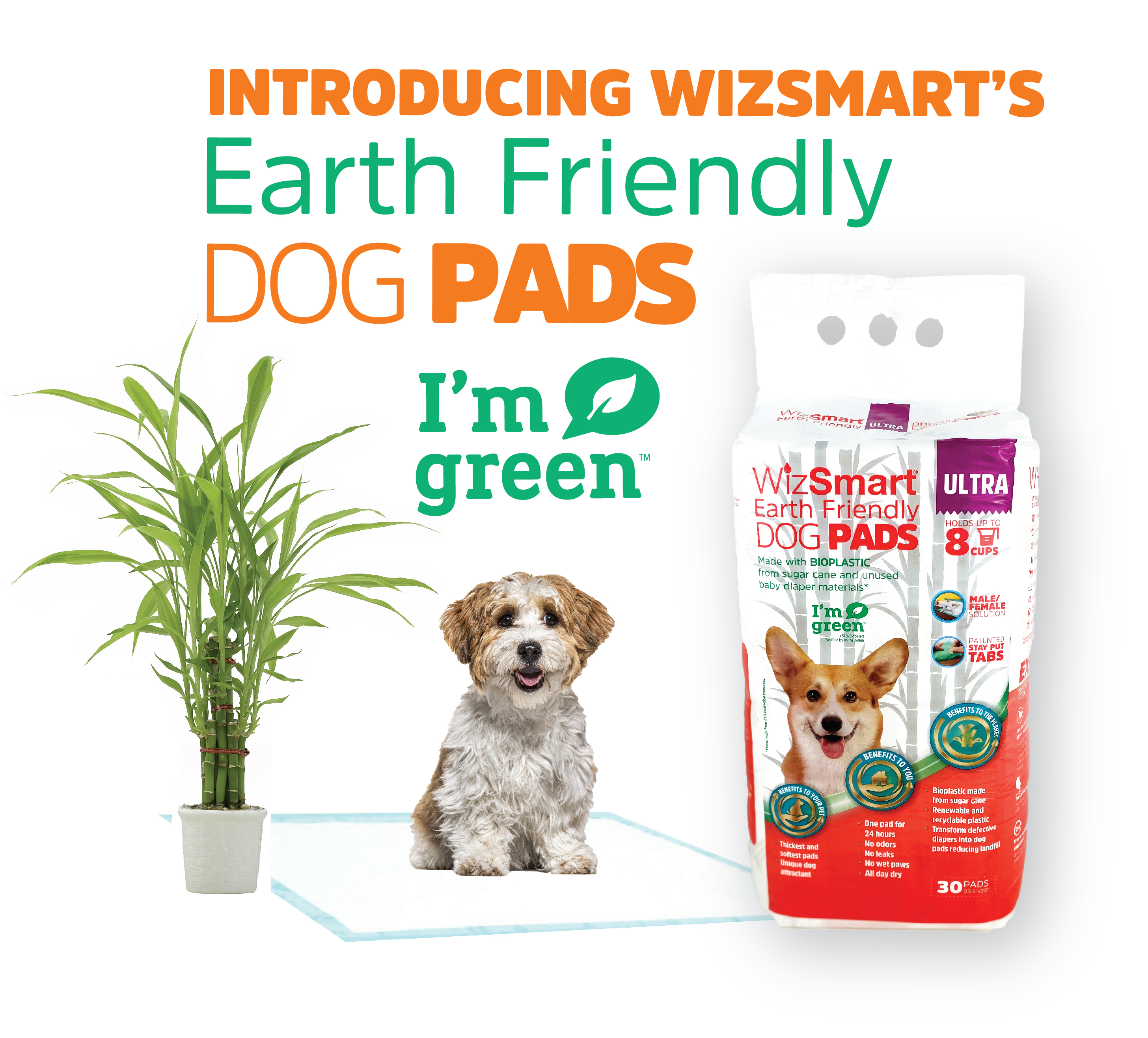 WizSmart® By Petix continues to innovate with their new line of Earth Friendly dog pads made with bioplastic from sugar cane and unused baby diapers.