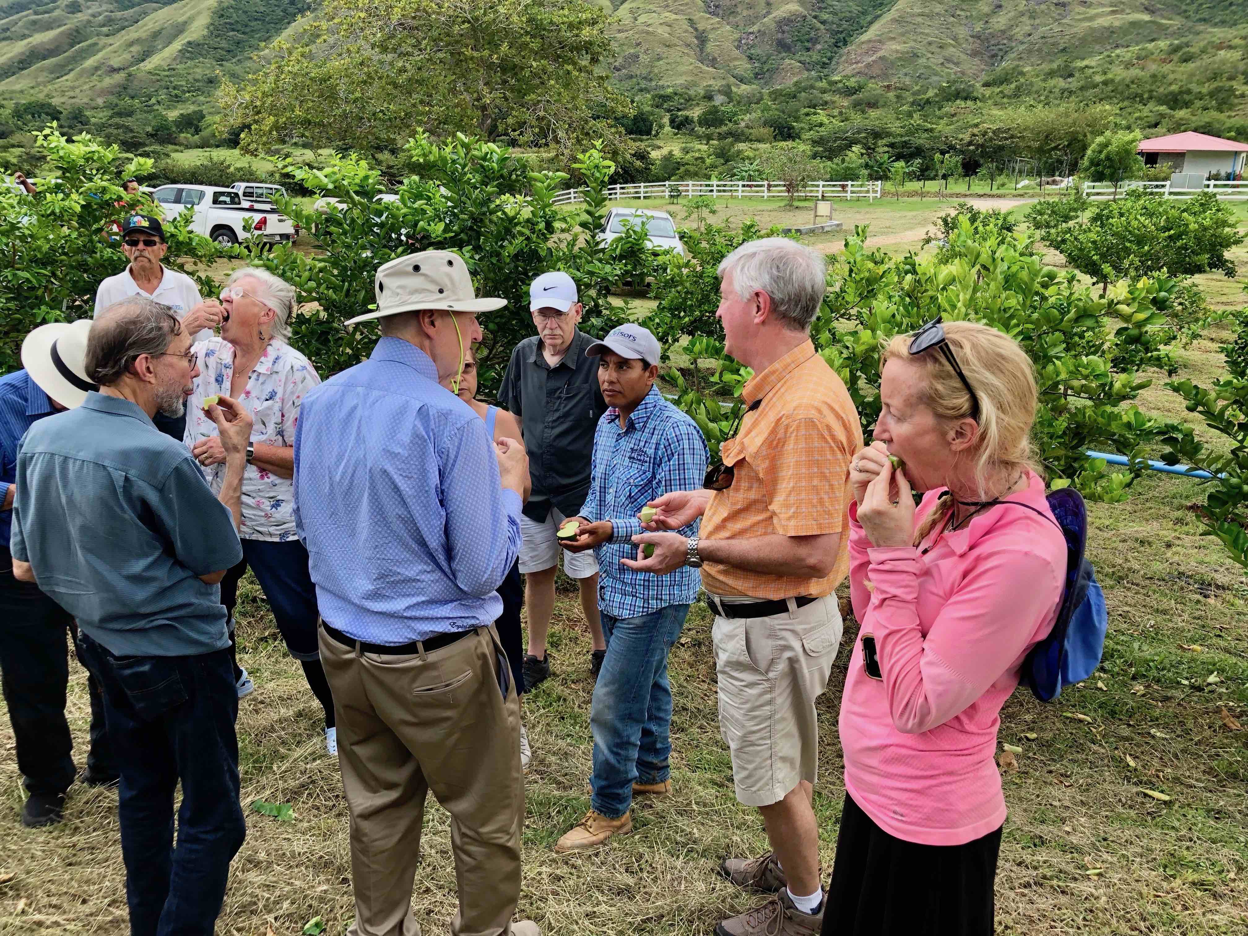 Real Estate Educator Evie Brooks continues to see a high interest in smart farming investments in Panama and hosts VIP Tours to visit the lime trees and more.