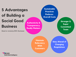 five advantages of a social good brand