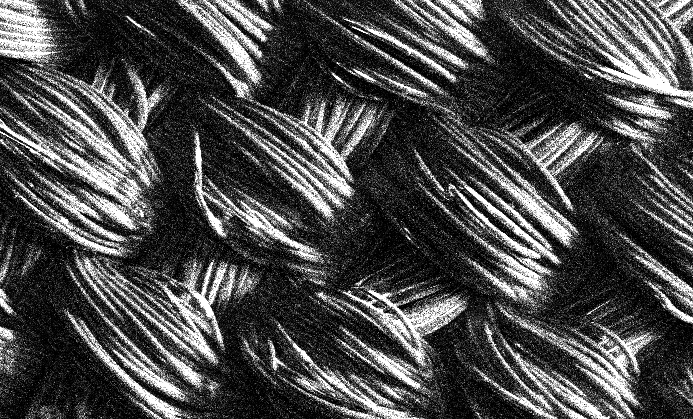 SEM image at 250X magnification of a woven polyester fabric coated with Liquid X’s particle-free ink.  The ink uniformly coats each thread, creating smooth, flexible, highly-conductive textiles.