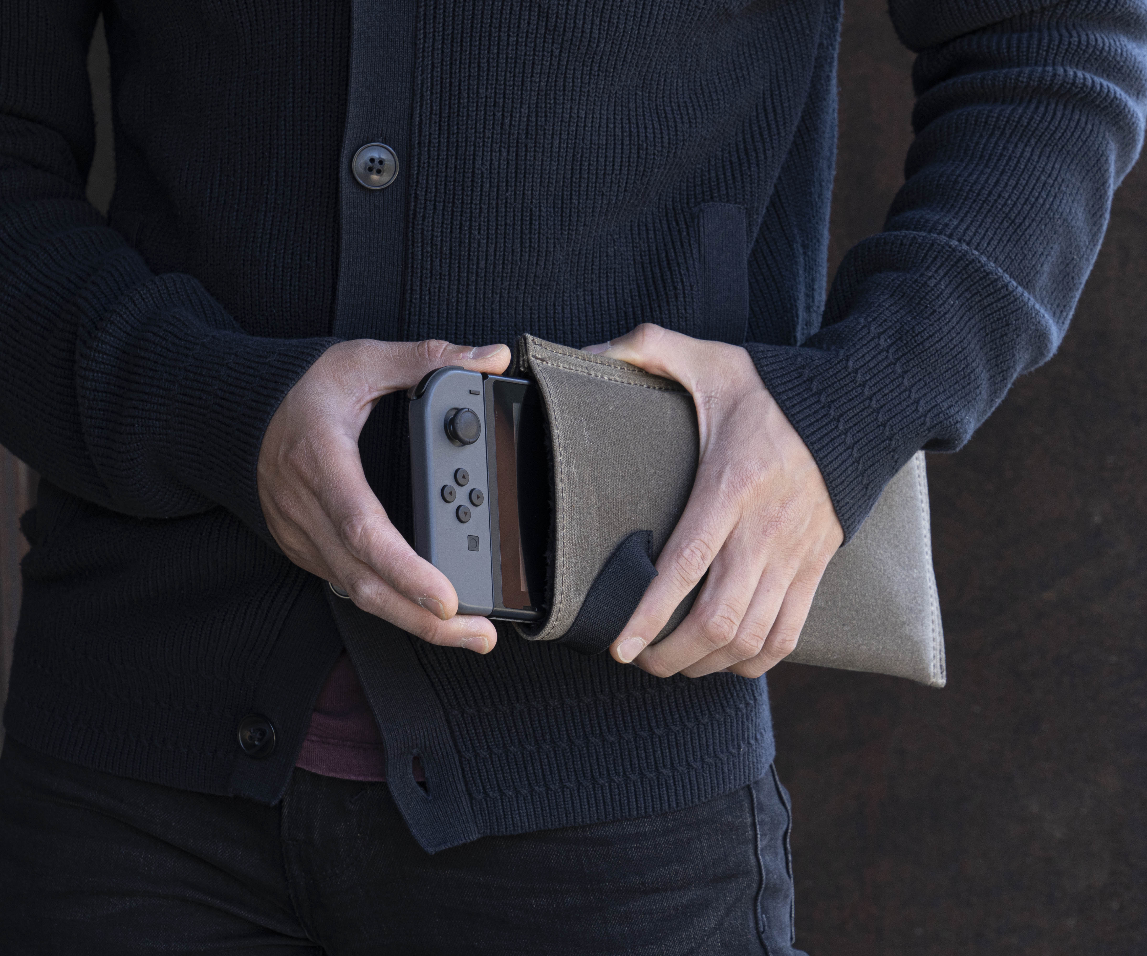 Dash Express Case for Nintendo Switch