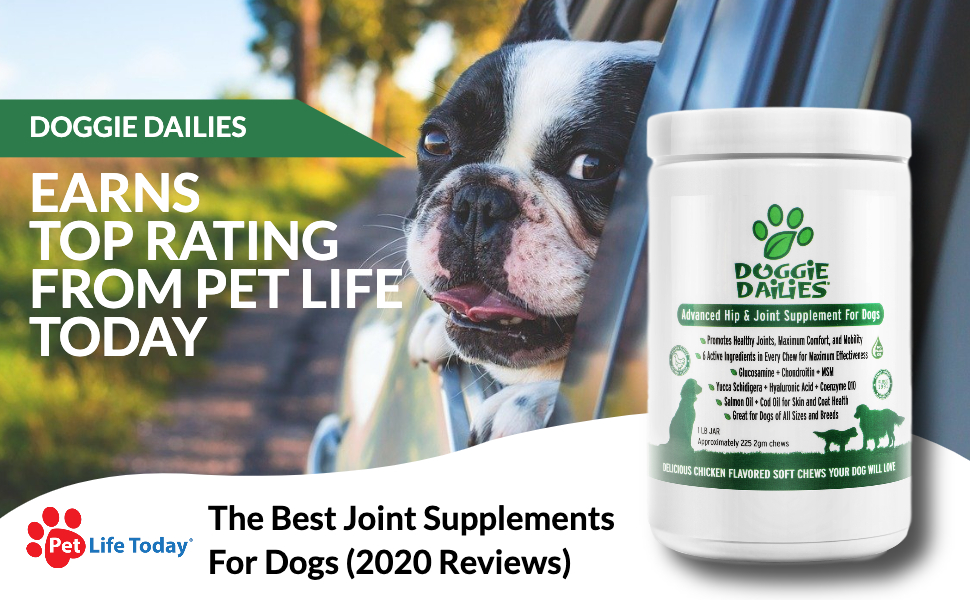 Doggie Dailies Earns Top Rating By Pet Life Today