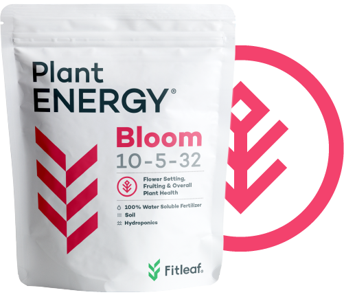 Plant ENERGY Bloom