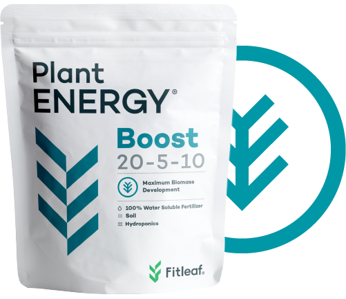 Plant ENERGY Boost
