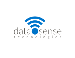 DataSense Tech logo