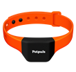 Petpuls, the AI-powered collar that gives your dog a voice so you understand how your furry best friend feels.