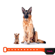 Petpuls is available in two sizes for large and small breed dogs.