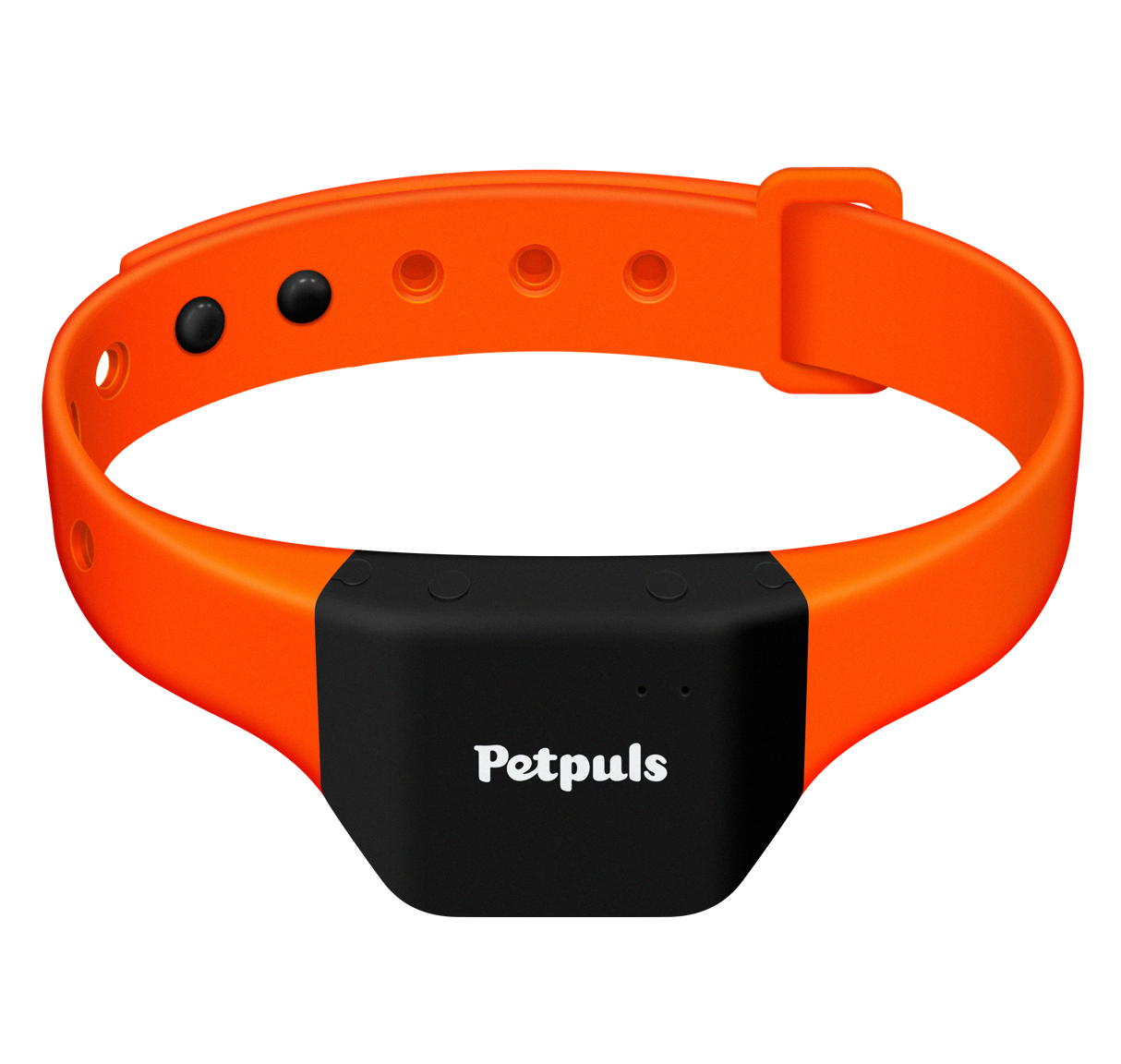 Petpuls, the AI-powered collar that gives your dog a voice so you understand how your furry best friend feels.