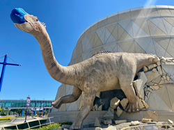The dinosaurs, the mascot and Bumblebee are all wearing face masks to promote a healthy visit and safety at the world's largest children's museum.