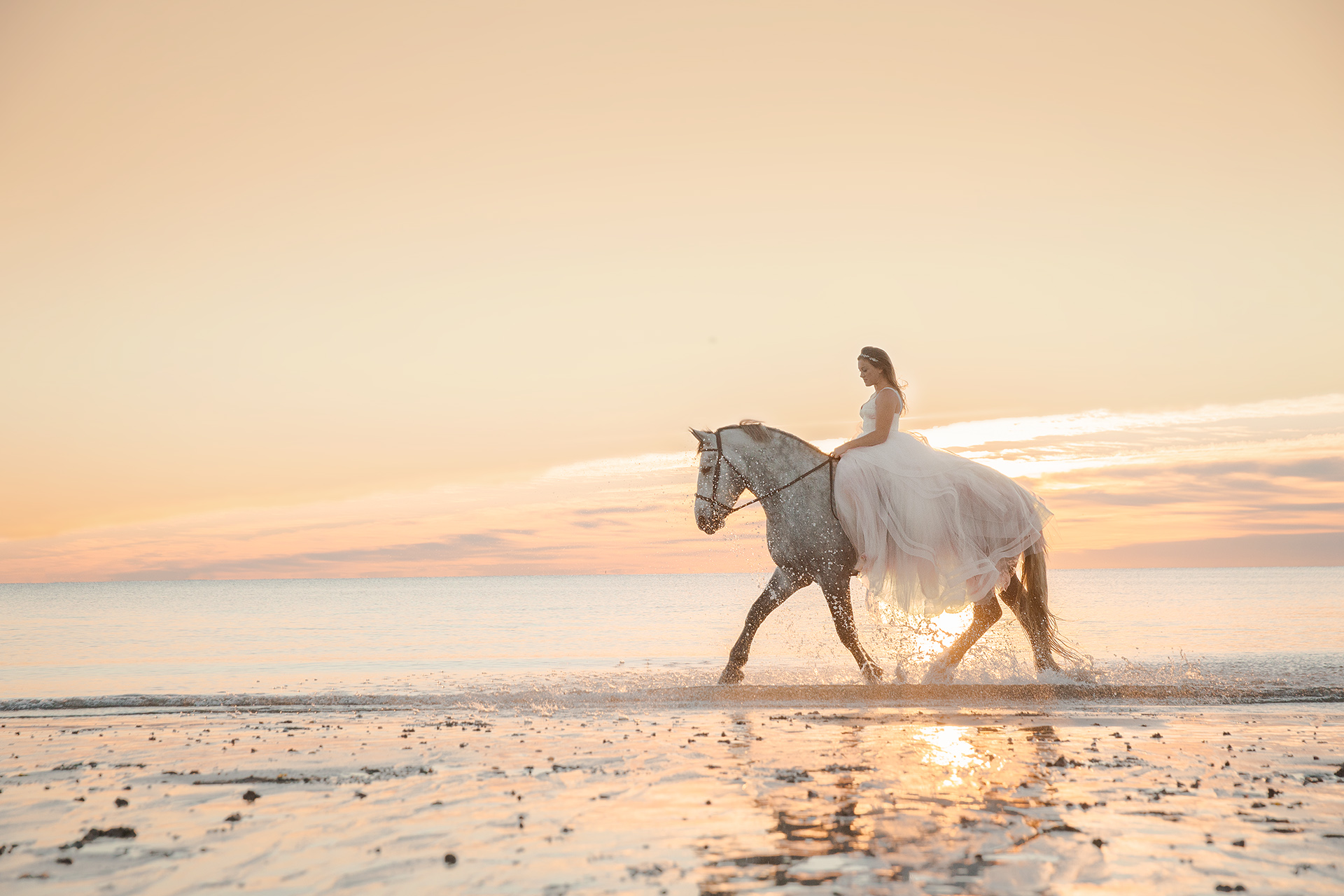 Bride on Horse at Sunrise
