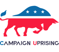 Political Campaign Software