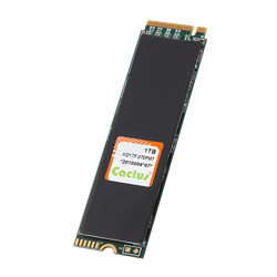 Cactus Technologies 1TB PCIe M.2 in 2280 Form Factor