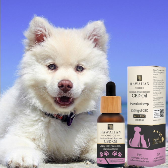 Hawaiian Choice Pet CBD