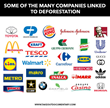 Companies linked to deforestation