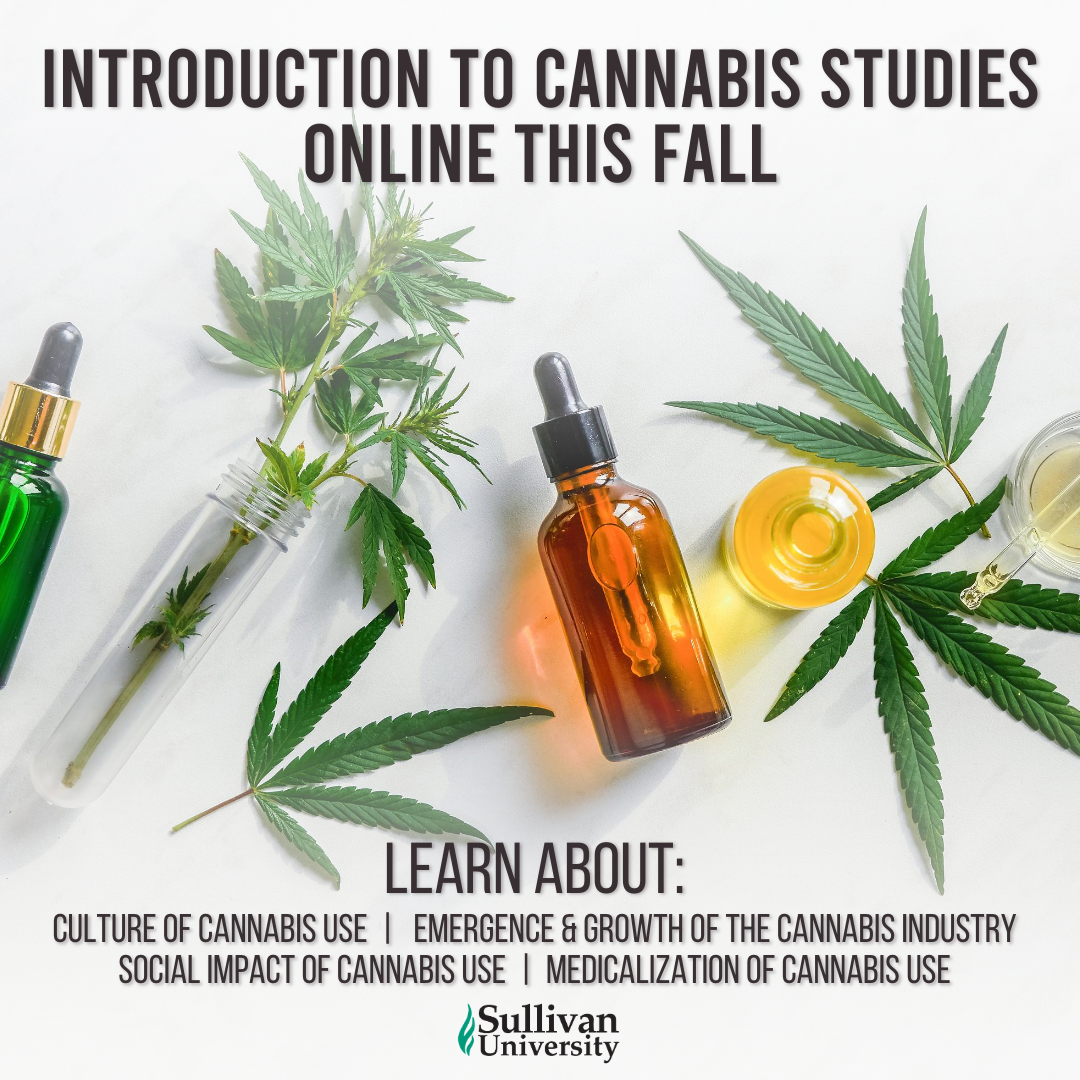 Sullivan University Offering Introduction to Cannabis Studies Class