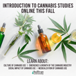 Sullivan University Offering Introduction to Cannabis Studies Class