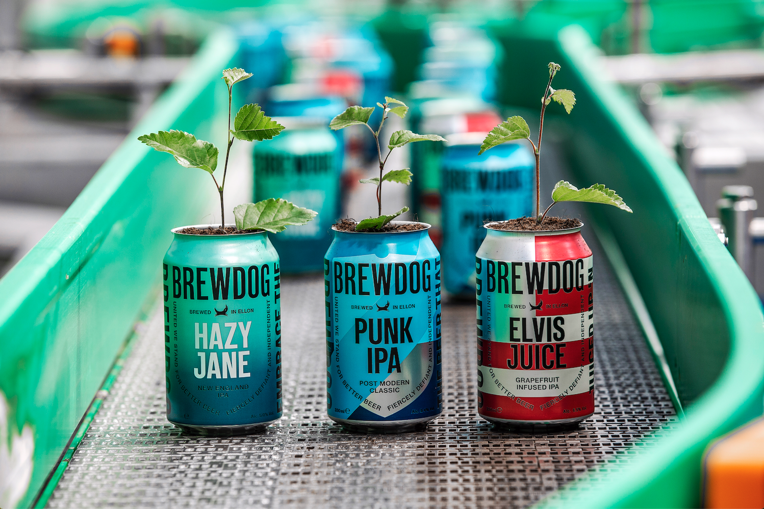 BrewDog Is World's First Carbon Negative International Beer Business