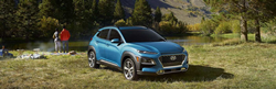 Blue 2021 Hyundai Kona with a couple near it looking at nature