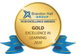 A visual of the Gold Award medal logo
