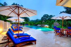 Chaa Creek pool with lounges, umbrellas and the surrounding jungle