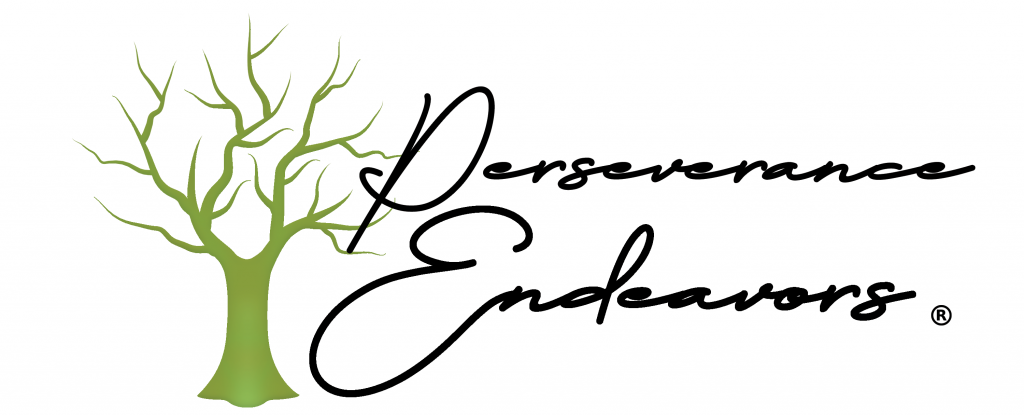 Perseverance Endeavors is a holding company based in Denver, CO.