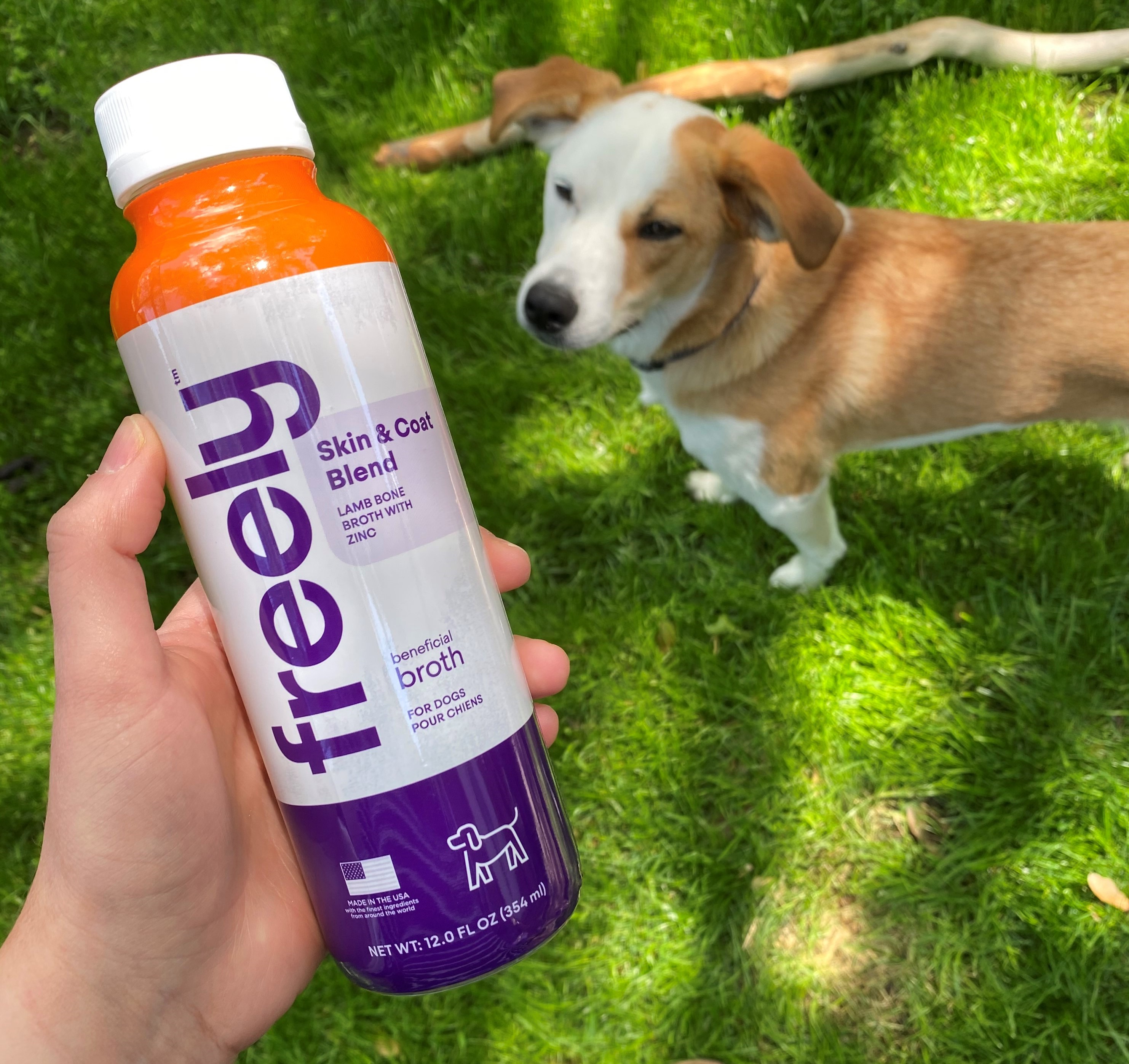 Freely Bone Broth Toppers Will Be Available for Sale at All Best Friends Pet Hotels