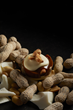 KOHLER Original Recipe Chocolates-Peanut Butter Terrapins