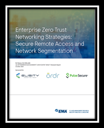 Enterprise Zero Trust Networking Strategies: Secure Remote Access and Network Segmentation report