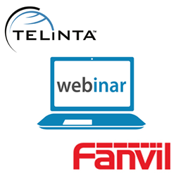 ITSPs can easily offer Hosted PBX, SIP Trunking and other VoIP services using Telinta and Fanvil.