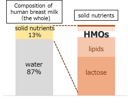 HMO composition of human breast milk
