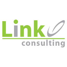 Link Consulting Services logo