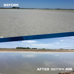 Before and after image of a lagoon being treated with Biotifx 40B.