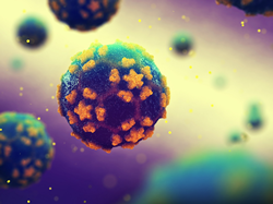 Poliovirus 3-D illustration, Credit: Shutterstock