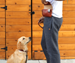 Wag Hip Pack — a magnet-secured main compartment prevents dogs from accessing treats while allowing one-handed access for owners