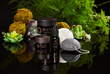 BeLIFTED Botanicals All Product Bundle