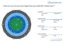State & Local Digital Services 2020-2021 RadarView™