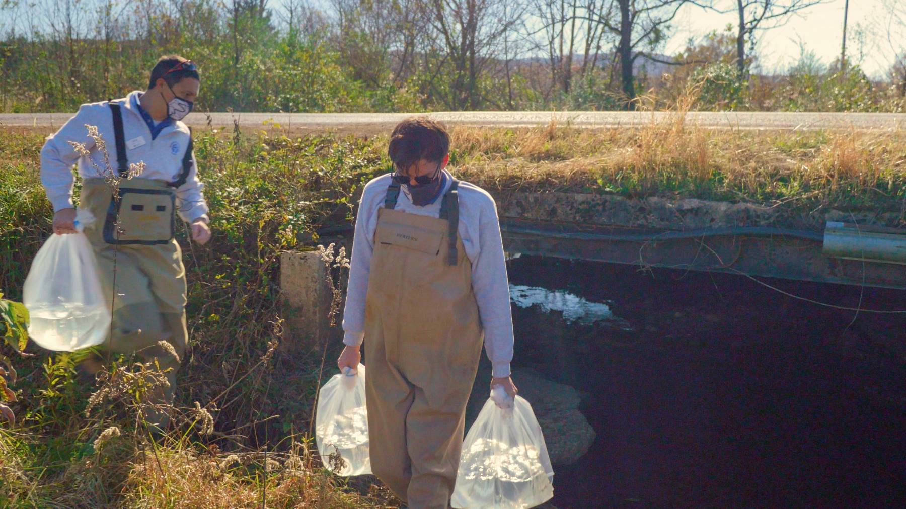 Curator of Fishes Matt Hamilton left and Aquarist II Adam Johnson carry oxygenated bags filled with endangered Barrens Topminnow to a Middle Tennessee release site